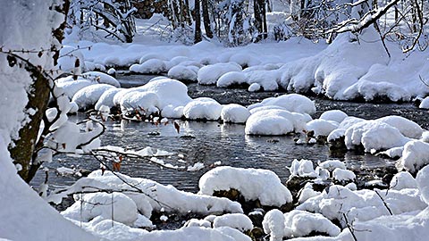 Hotel am Königssee - Winterspaziergang im Schnee