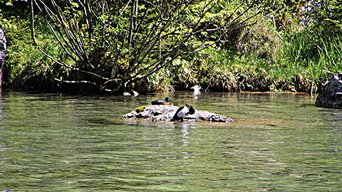 Hintersee in Ramsau in Bayern - Urlaub in den Bergen