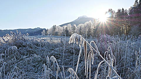 Urlaub an Brückentagen im Januar