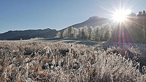 Urlaub an Brückentagen zu Weihnachten