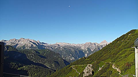 Webcam Jenner Sommerpanorama