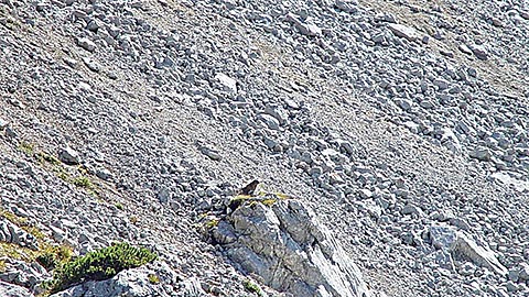 Bergtour Berchtesgaden - Bergseen spüren