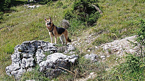 Bergtour Berchtesgaden - Weitblicke genießen