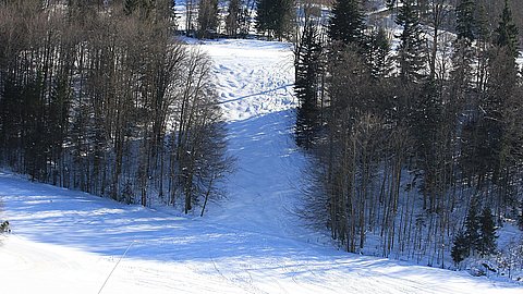 Skischule und Buckelpiste in Berchtesgaden