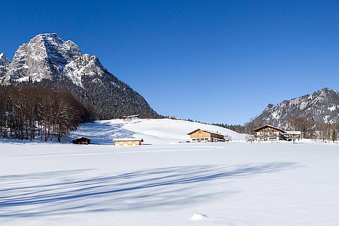Scheffaulehen-Bauernhof-Winter-01.jpg