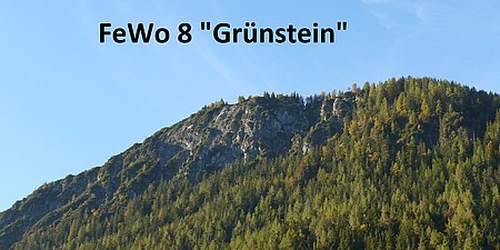 FeWo_8_Grünstein_01.jpg