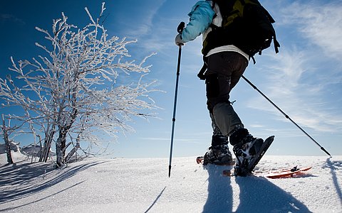 Adults Only Alpenhotel Fischer - Das Hotel in Berchtesgaden - Appartment Grünstein