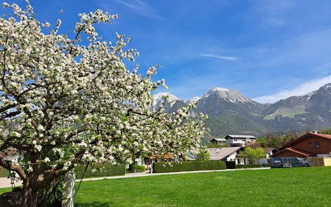 Ferienwohnung Kehlstein - Gästehaus Bodnerlehen