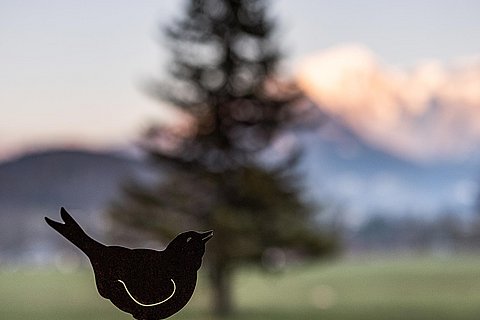 Vogel-mit-Bergblick.jpg