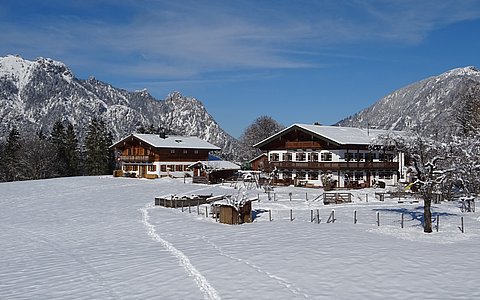 neu renovierte Ferienwohnung "Götschen" im Unterthürlehen mit 2 Balkonen