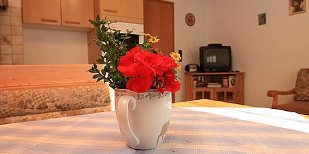01-Ferienwohnung-Groesswang-006.jpg