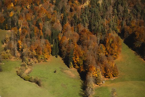 Umgebung um das Haus