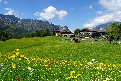 Bauernhof-Frühling.JPG