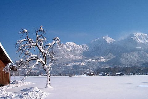 Aussicht Winter