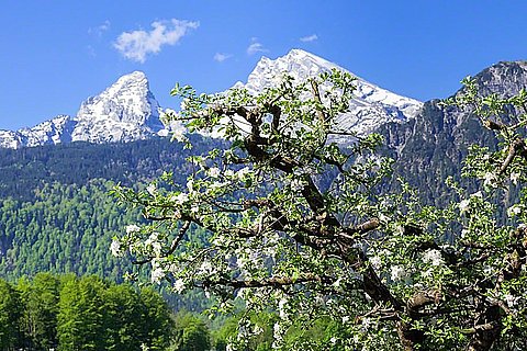 Triembachhof-Ferienwohnung-Urlaub-Koenigssee-005.jpg