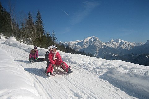 winter-schlittenfahren.jpg