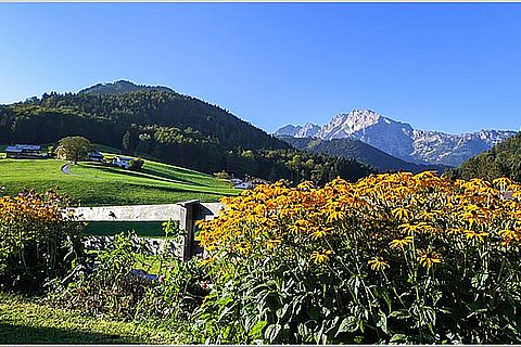 Modllehen-Ferienwohnungen-Bauernhof-Sommer-02.jpg