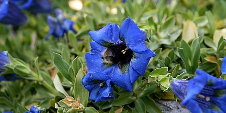 Urlaub an Brückentagen