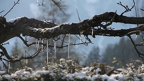 Osterferien der erste Urlaub im Jahr